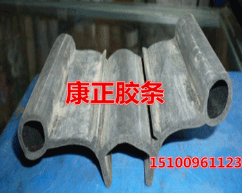 ������ܷ��� 